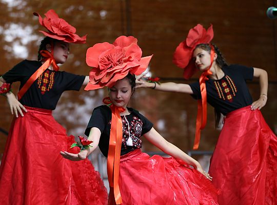 Muzyka Regionów 2023 - Integracja Kultur poprzez Tańce i Muzykę!