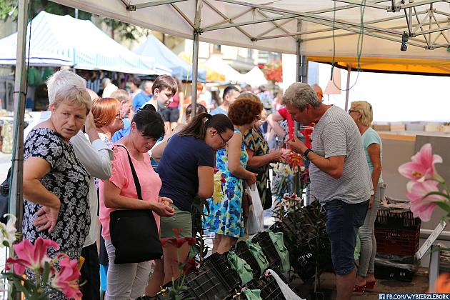 JARMARK 2018