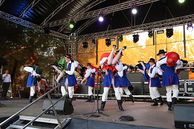 JARMARK 2019