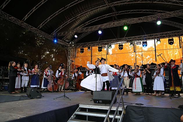 JARMARK 2019