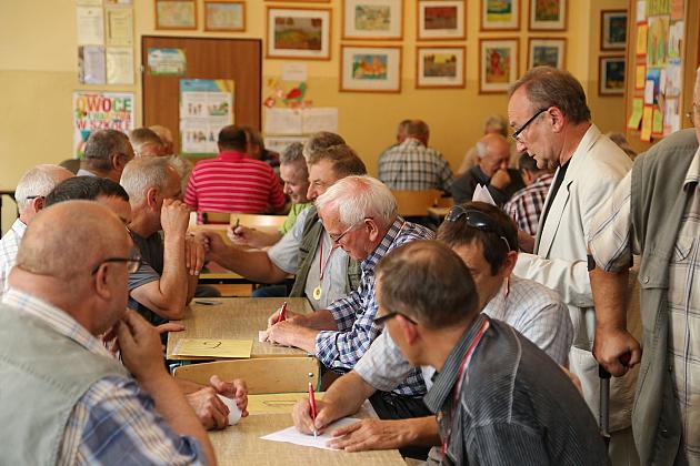 JARMARK 2016
