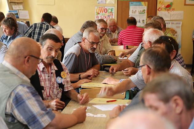 JARMARK 2016