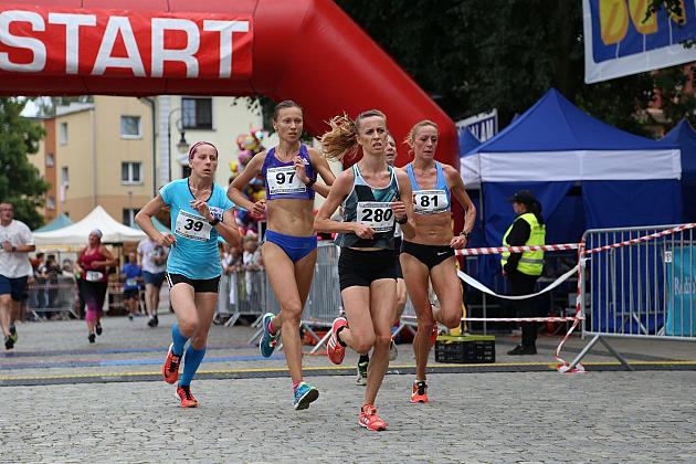 JARMARK 2016